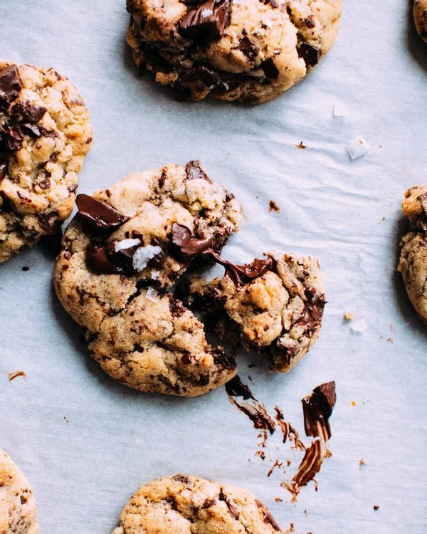 24 Hours Chaga Chocolate Chip