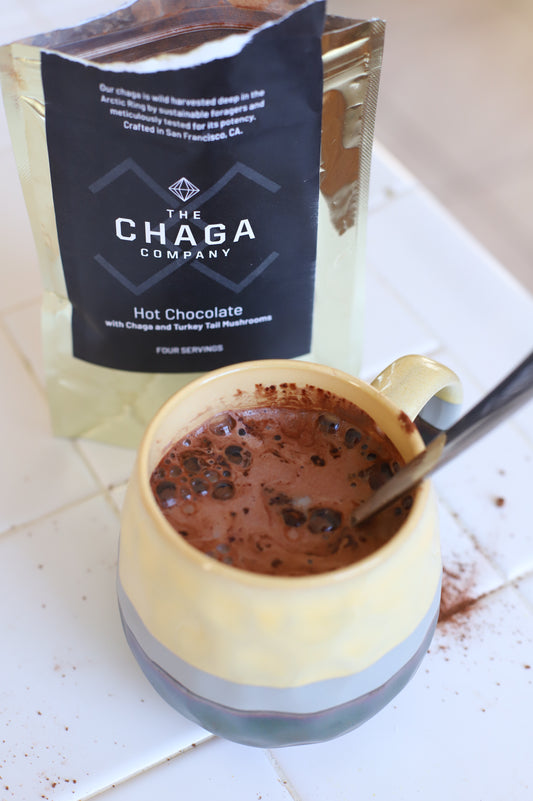 3 Pack Adaptogenic Hot Chocolate with Chaga & Turkey Tail Mushrooms
