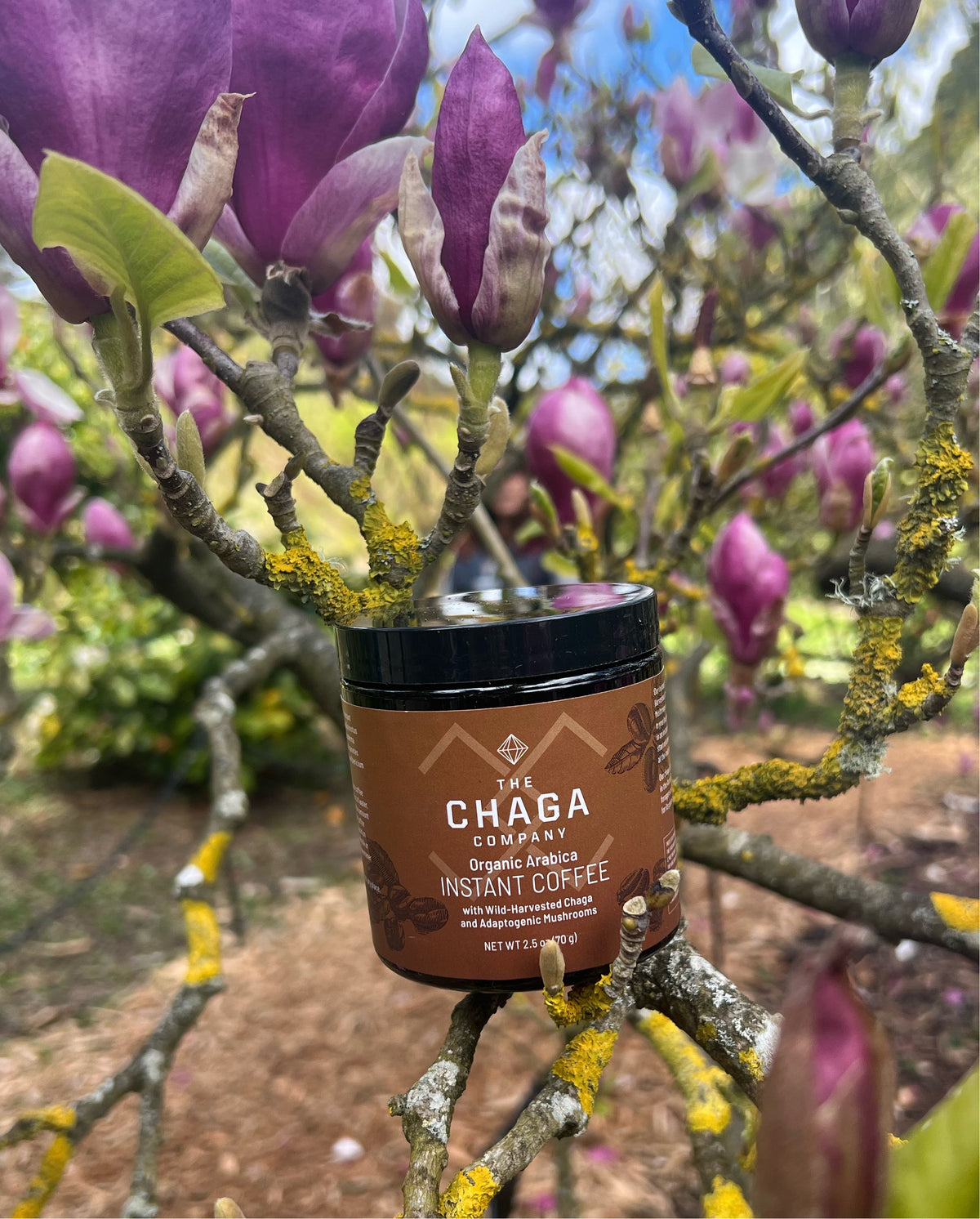 Organic Instant Coffee  with Chaga and Adaptogenic Mushrooms