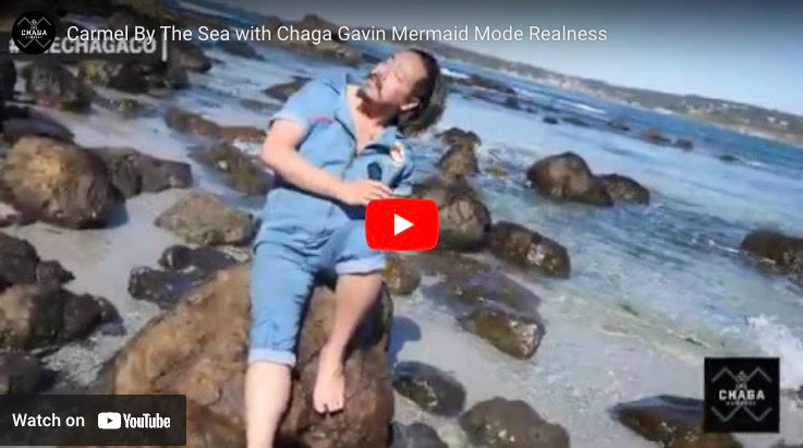 Build Immunity with our Chaga Apple Tinctures