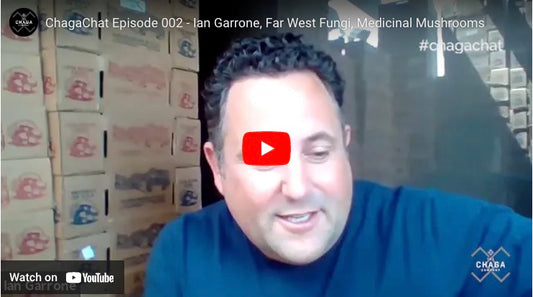 Chaga Chat Episode 2: Medicinal Mushrooms with Ian Garrone, Far West Fungi