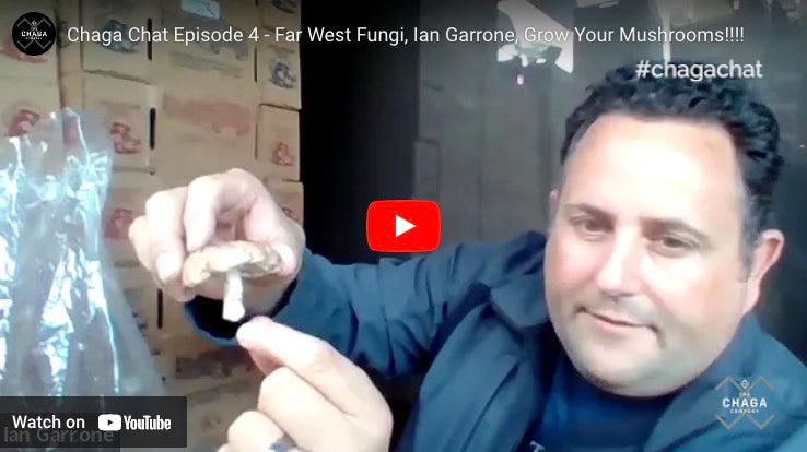 Chaga Chat Episode 4: Grow mushrooms are home with Ian Garrone, Far West Fungi