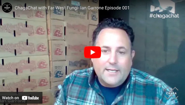 Chaga Chat! Episode 1: Ian Garrone, Far West Fungi