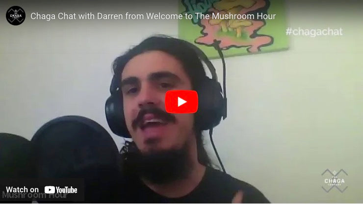 Chaga Chat - Darren, Welcome to the Mushroom Hour
