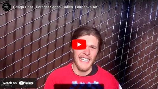 Chaga Chat - Forager Series: Callen
