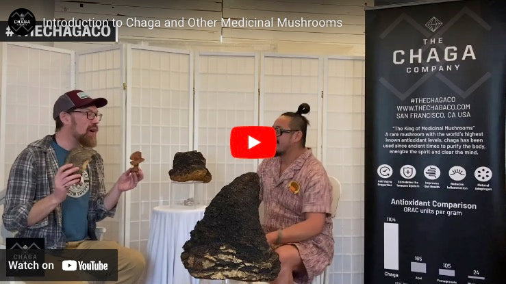 Medicinal Mushrooms with James with the Haight Shroom Shop