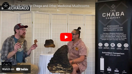 Medicinal Mushrooms with James with the Haight Shroom Shop