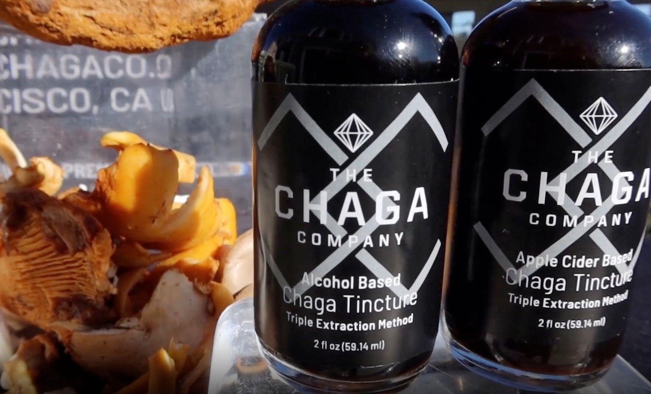 How to use The Chaga Company Tinctures