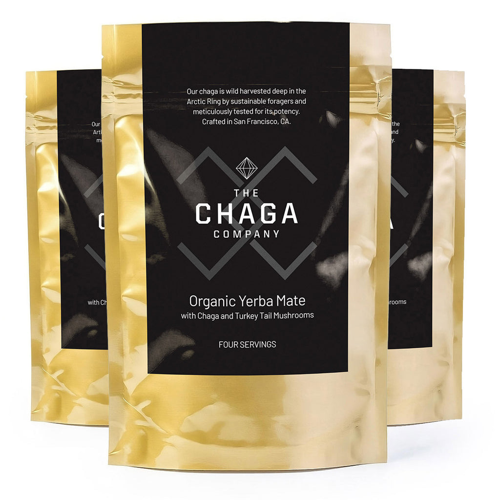 The Chaga Company 3 Pack - Yerba Mate with Chaga and Turkey Tail Mushrooms